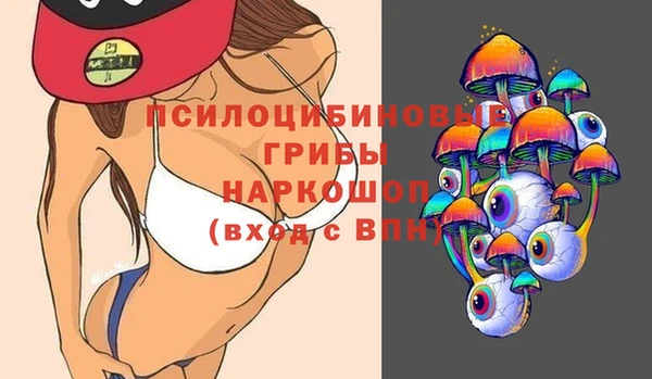 соль ск Нязепетровск
