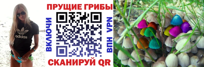 купить наркотик  Грязовец  Галлюциногенные грибы ЛСД 